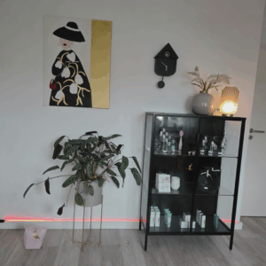 Eleganter Ausstellungsbereich im Kosmetikstudio Bio Beauty Attack in Gütersloh mit Designkunst, Pflanzen und Pflegeprodukten.