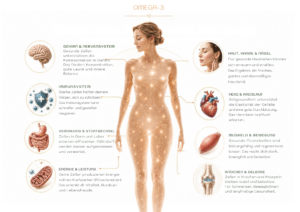 Infografik zur Wirkung von Omega-3 auf den Körper mit einer zentralen Frauenfigur sowie den Bereichen Gehirn, Herz, Haut, Immunsystem, Verdauung, Muskeln, Knochen und Energie.