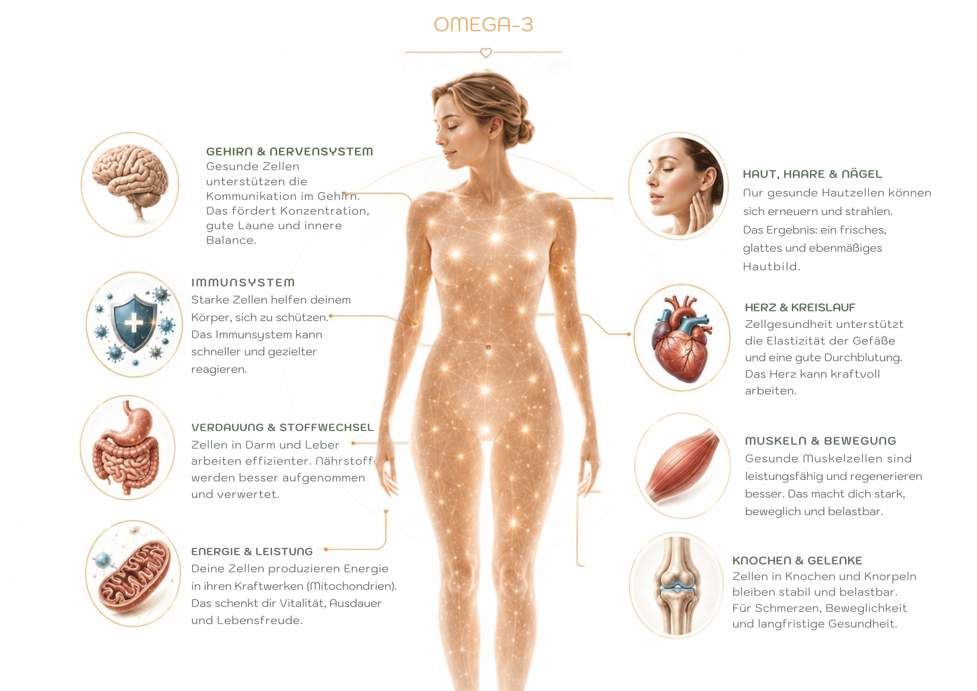 Infografik zur Wirkung von Omega-3 auf den Körper mit einer zentralen Frauenfigur sowie den Bereichen Gehirn, Herz, Haut, Immunsystem, Verdauung, Muskeln, Knochen und Energie.