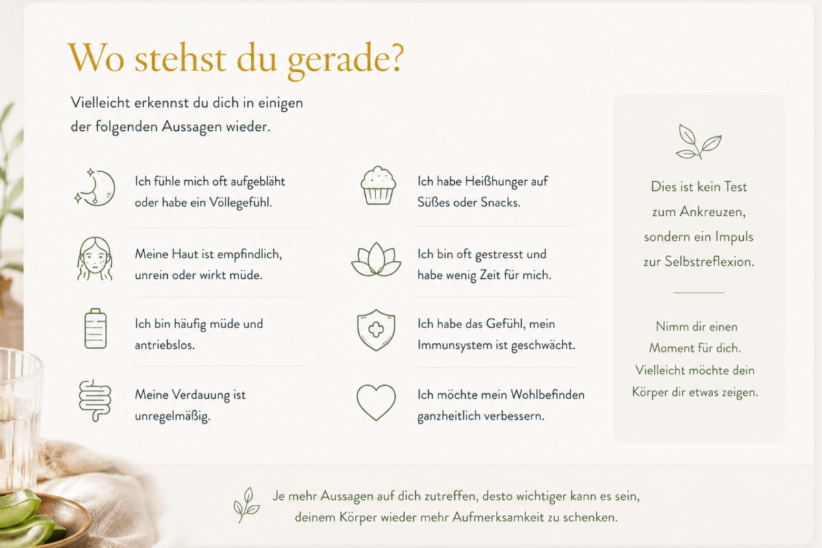 Design ohne Titel (39)
